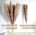 46'' Inch 10 Stems Natural Pampas Grass Decor Tall, Pompas Grass, Tall Pampas Grass For Weddingm, Farmhouse, Boho Home Decor (Gr