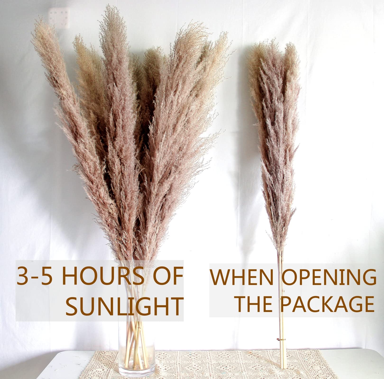 46'' Inch 10 Stems Natural Pampas Grass Decor Tall, Pompas Grass, Tall Pampas Grass For Weddingm, Farmhouse, Boho Home Decor (Gr
