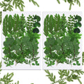 BBTO 42 Pieces Dried Pressed Leaves Dried Flowers for Resin Real Assorted Dried Greenery for Pressed Leaf Art Craft DIY Embellis