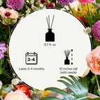 Apotheke Luxury Scented Oil Reed Diffuser For Home (White Vetiver) - Home Fragrance Diffuser Set With Sticks