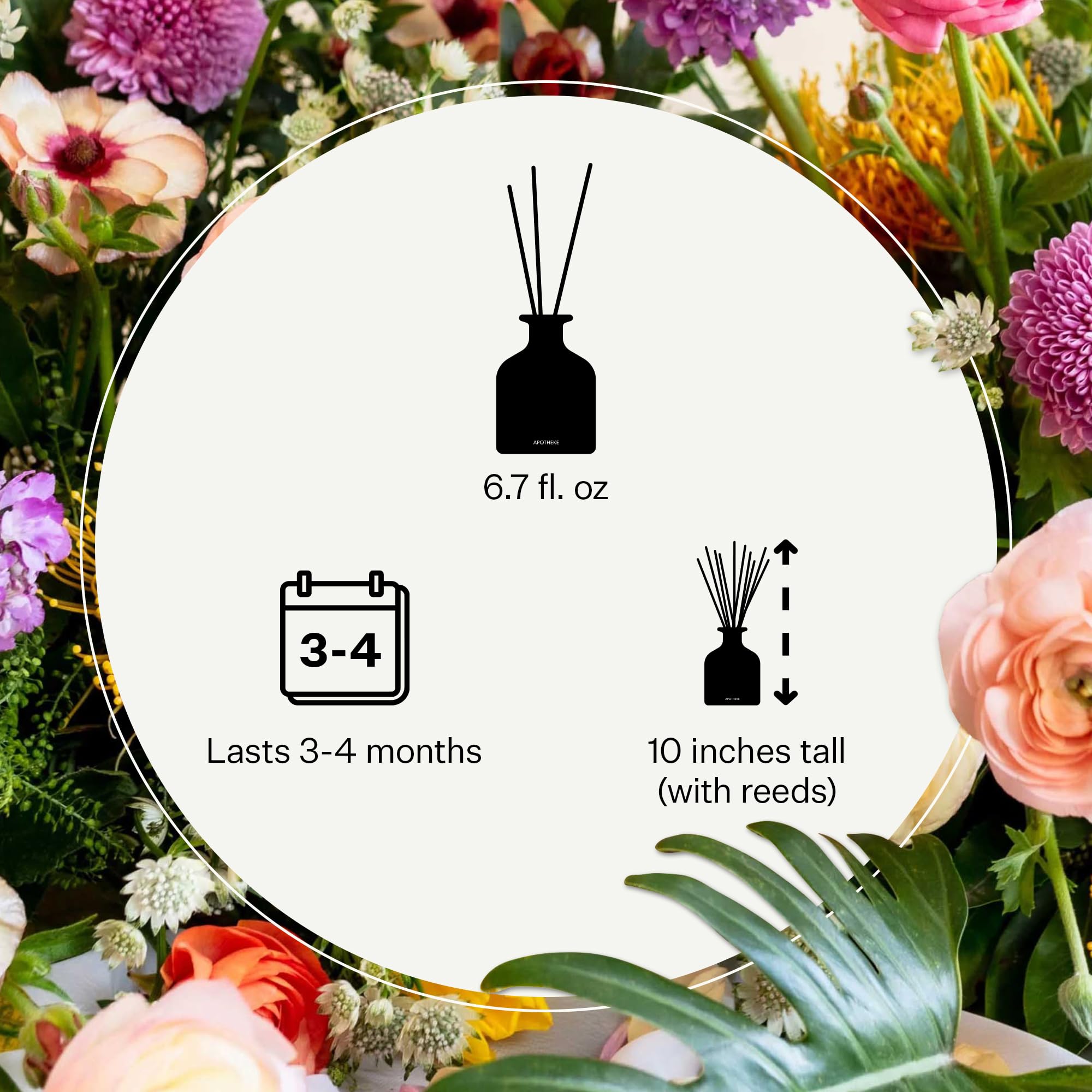 Apotheke Luxury Scented Oil Reed Diffuser For Home (White Vetiver) - Home Fragrance Diffuser Set With Sticks