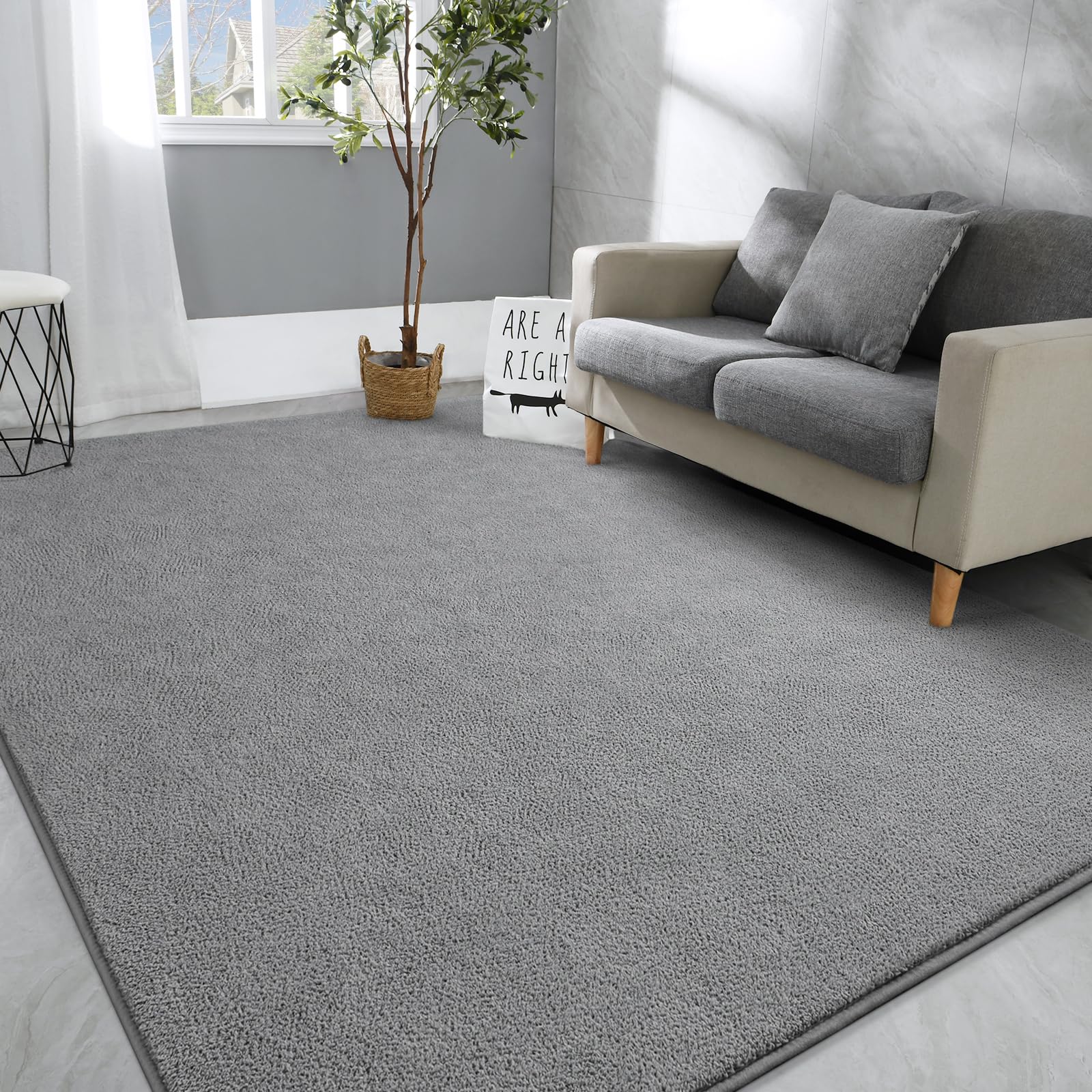 Hutha Large Area Rugs for Bedroom Living Room, 6x9 Grey Solid Fluffy Super Soft Memory-Foam Furry Bedside Carpets, Modern Indoor