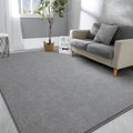 Hutha Large Area Rugs for Bedroom Living Room, 4x6 Grey Solid Fluffy Super Soft Memory-Foam Furry Bedside Carpets, Modern Indoor