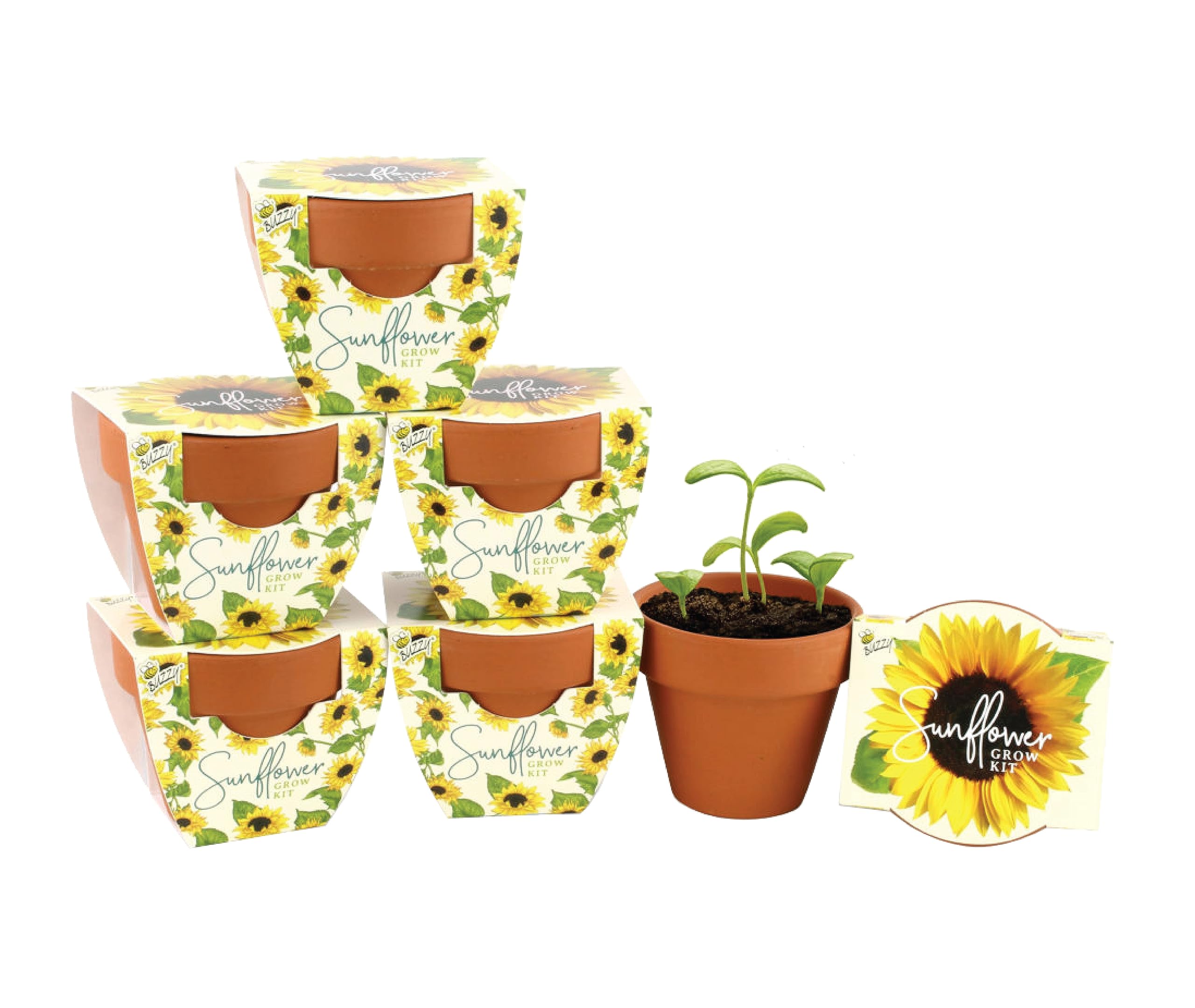 Buzzy Terracotta Mini Grow Pots  Mini Sunflower 6-Pack  Daydream Collection  Best Gardening Gifts, Favors, Weddings, Parties, Ev