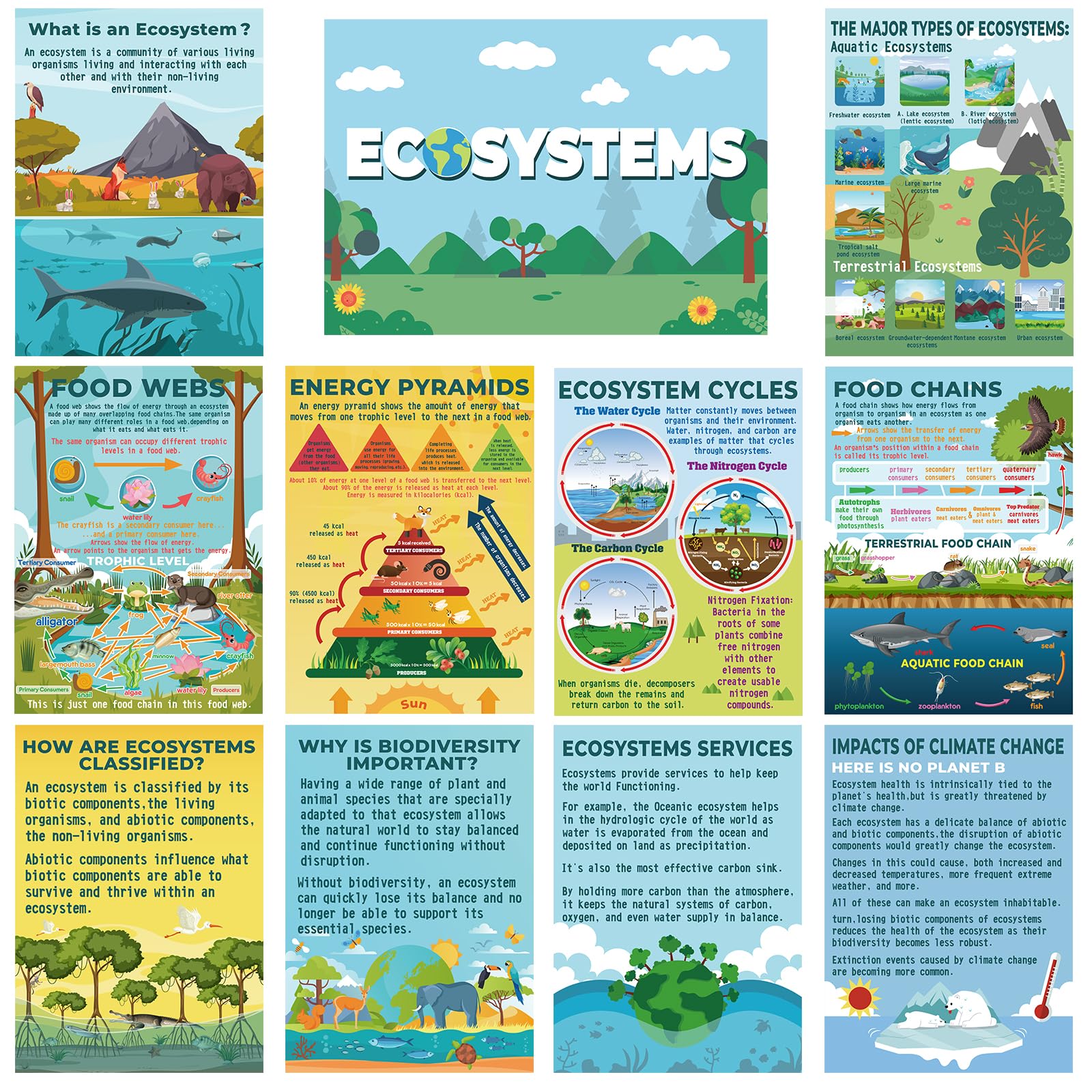 Pasimy 11 Pcs Science Posters For Classroom Ecosystems Teaching Poster Ecosystems Bulletin Board Biological Food Chain Bulletin