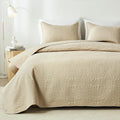Akkialla Queen Quilt Bedding Set,Beige Ultrasonic Full/Queen Quilt Set,Lightweight Soft Bedspread Coverlet,Modern Style Coin Pat