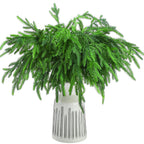 Jutom 12 Pcs Christmas Norfolk Pine Branches, Norfolk Pine Artificial Christmas Branches DIY Crafts Faux Christmas Norfolk Pine 