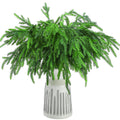 Jutom 80 Pcs Christmas Norfolk Pine Branches, Norfolk Pine Artificial Christmas Branches DIY Crafts Faux Christmas Norfolk Pine 