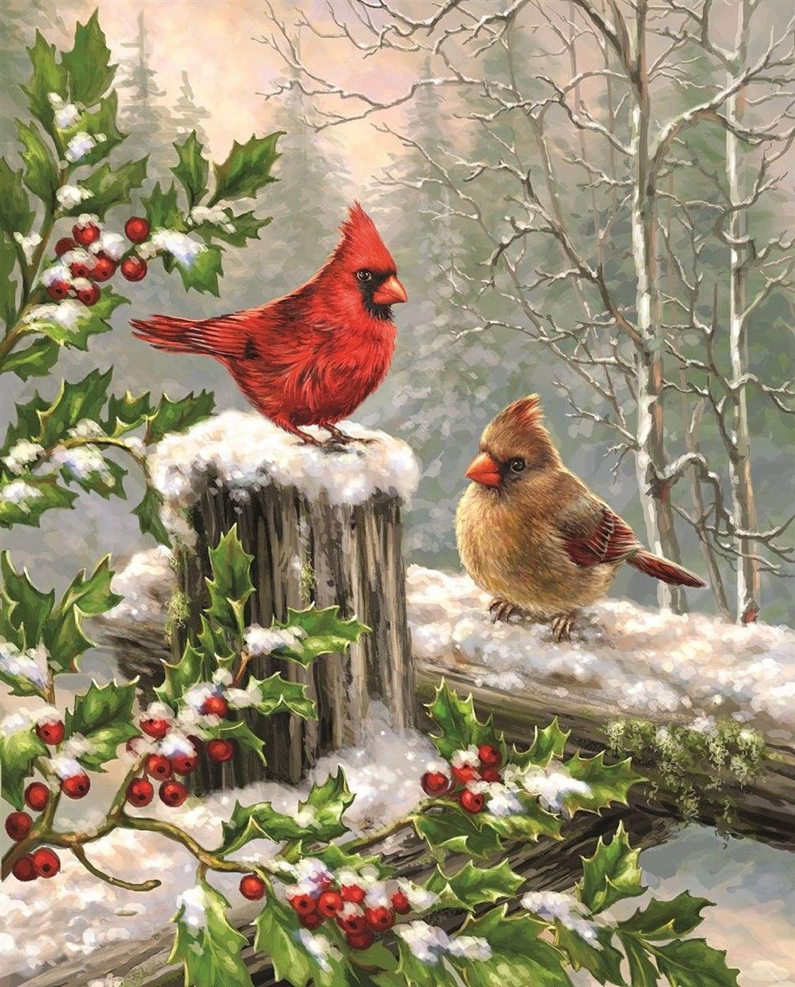 Wamika Merry Christams Garden Flags 12 X 18 Double Sided, Cardinal Red Bird Holly Berry Branches Snow Welcome Winter Holiday Yar