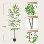 Bellacat Faux Black Olive Tree 7Ft, Tall Faux Trees Indoor With Natural Trunk And Realistic Leaves. 7 Feet(84In) Artificial Tree