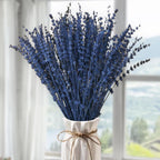 2 Bundles Dried Blue Preserved Lavender Flowers Bouquet-15''-17'' Blue Dried Flower for Home Wedding Shower Vase Centerpeice Bab