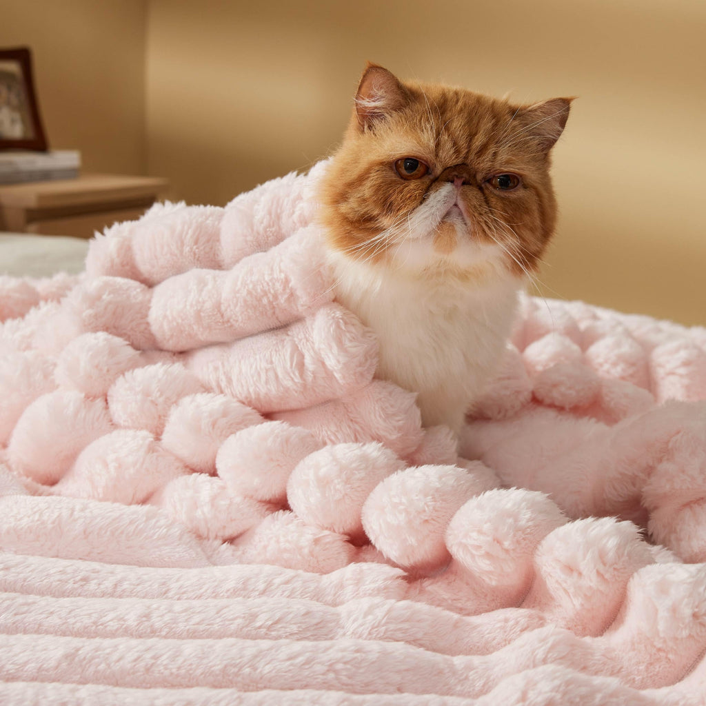 Bedsure Blankets Queen Size For Bed - Super Soft Cozy Blankets For Women, Cute Large Fleece Blanket For Girls,Pink,90X90 Inches,