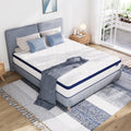 Avenco 12 Inch Queen Mattresses in a Box, Hybrid Queen Size Mattresses with Comfort Foam and Pocket Coils for Pressure Relief & 
