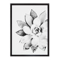 Kate and Laurel Sylvie Black and White Modern Succulent Print Framed Canvas Wall Art by Simon Te Tai, 18x24 Black