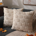 Dfxsz Fall Pillow Covers 20X20 Set Of 2 Fall Decorations Autumn Beige Pumpkin Throw Pillow Cases Soft Plush Faux Fur Wool Couch