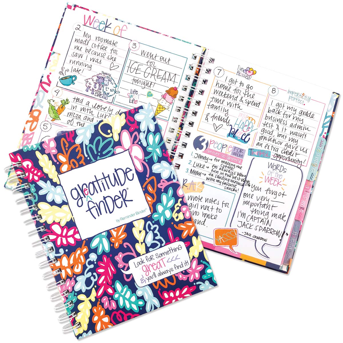 Denise Albright Gratitude Finder 52 Week Non-Dated Journal For Women, Teens & Girls With 165 Hand-Illustrated Stickers (Island B