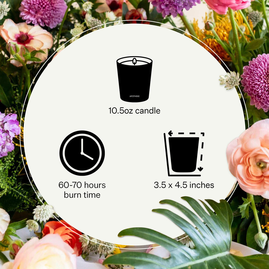 Apotheke Scented Candles For Home, Charcoal Rouge - 10.5 Oz Long-Lasting Soy Wax Jar Candle - 60-70 Hours Burn Time - Notes Of C