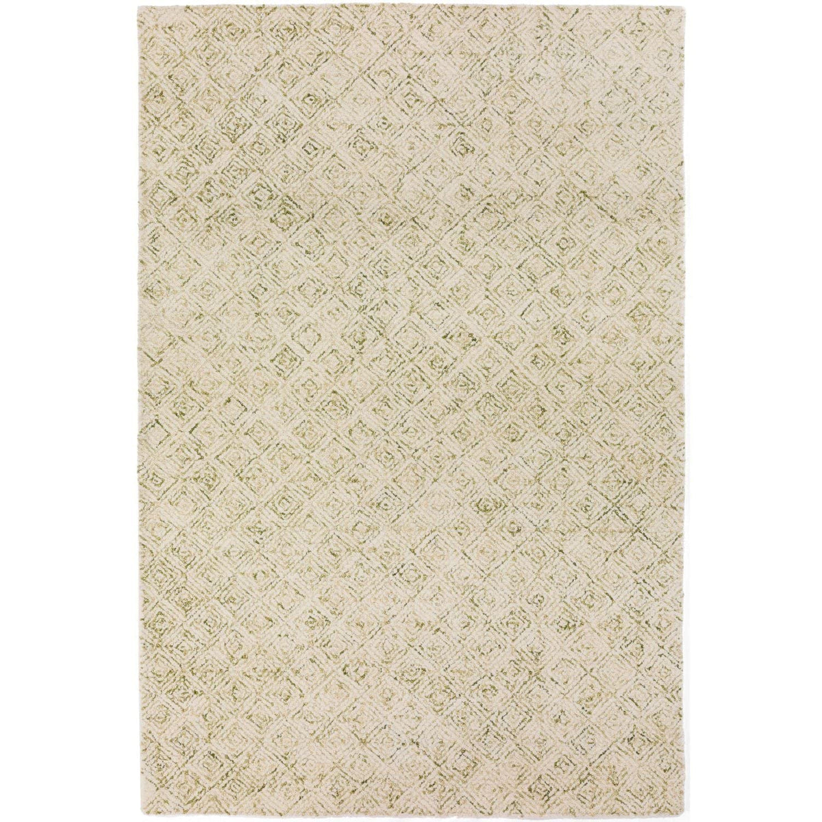 Zoe Zz1 Green Bohemian Rug Rectangle 12' X 15'