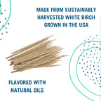 Preserve Toothpicks, Cinnamint, 24 Canisters