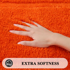 Shacos Microfiber Bath Rug 20''X32'' Bathroom Rugs Bath Mat Bathtub Rug Bathroom Floor Mat Non Slip Soft Washable (20''X32'', Or
