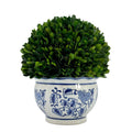 Galt International 9.5 Naturally Preserved Real Boxwood Ball in Hand-Painted Round Bulb Blue & White China Pot Planter Green Ind