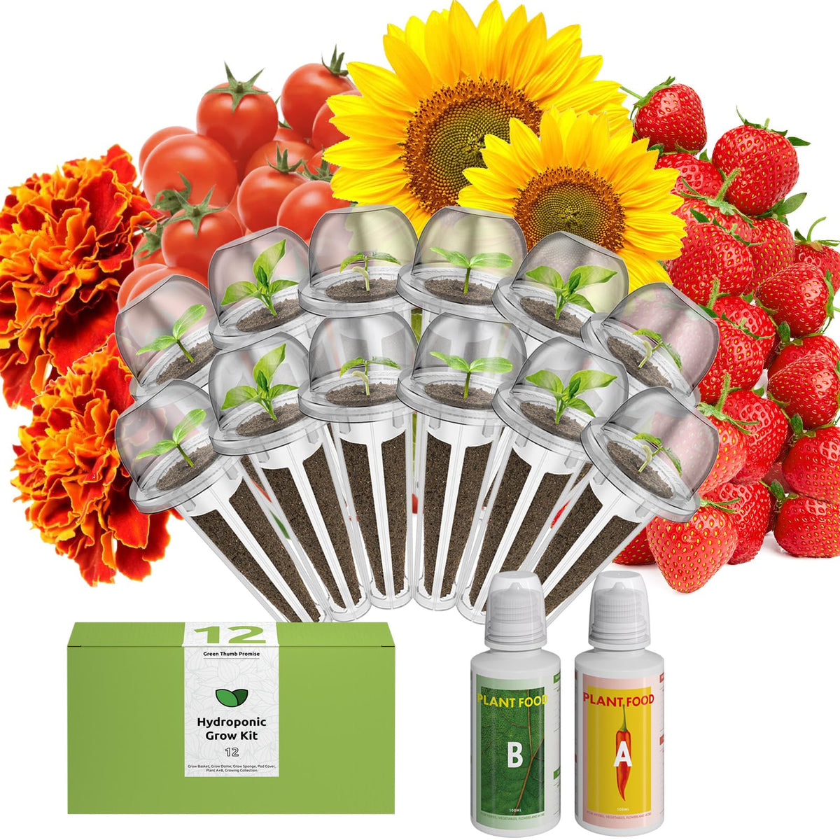 Inbloom Vibrant Wildflower & Fruit Mixd Seed Pod Kit For Aerogarden, Ahopegarden Hydroponics Growing System, 12-Pods (350 Seeds+