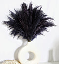 Black Pampas Grass For Home Decor - Elegant Boho Decor - Premium Quality Pampas Grass Stems - Perfect For House, Nursery, Wester