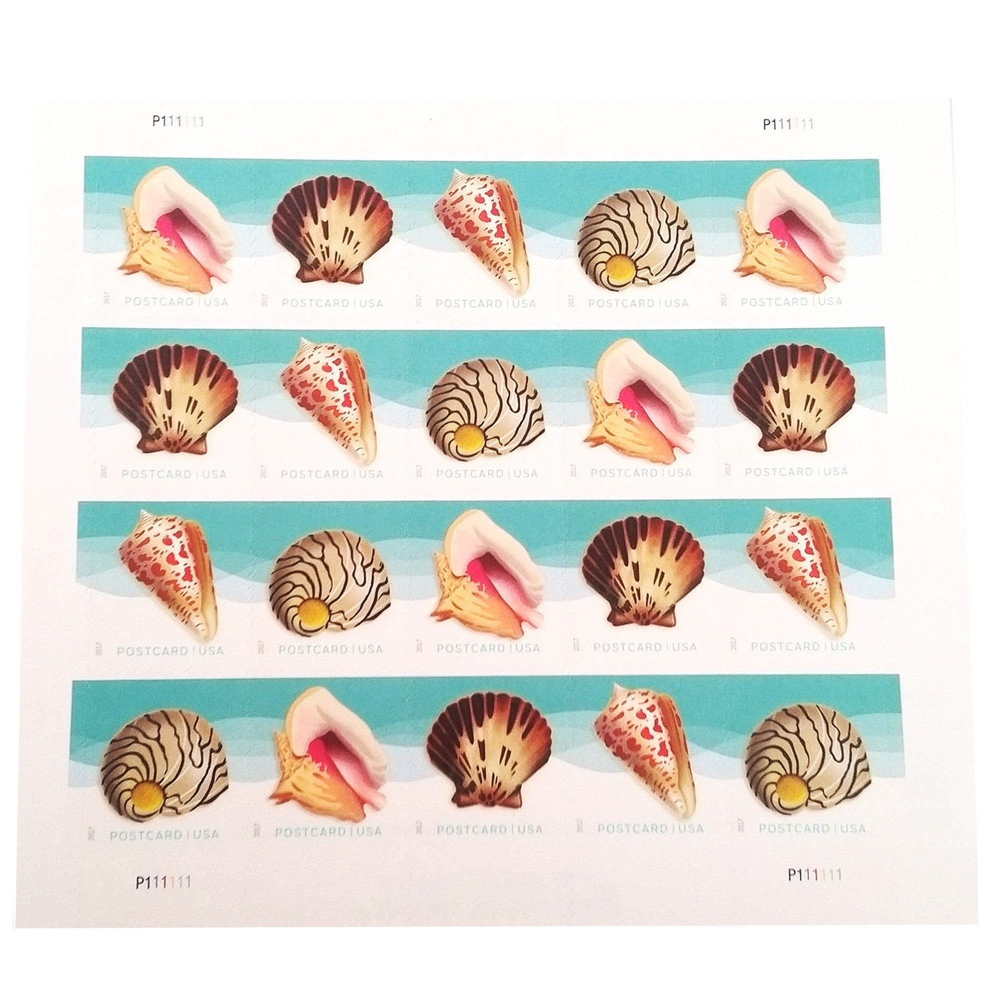 Usps Seashells Postcard Stamps, Sheet Of 20