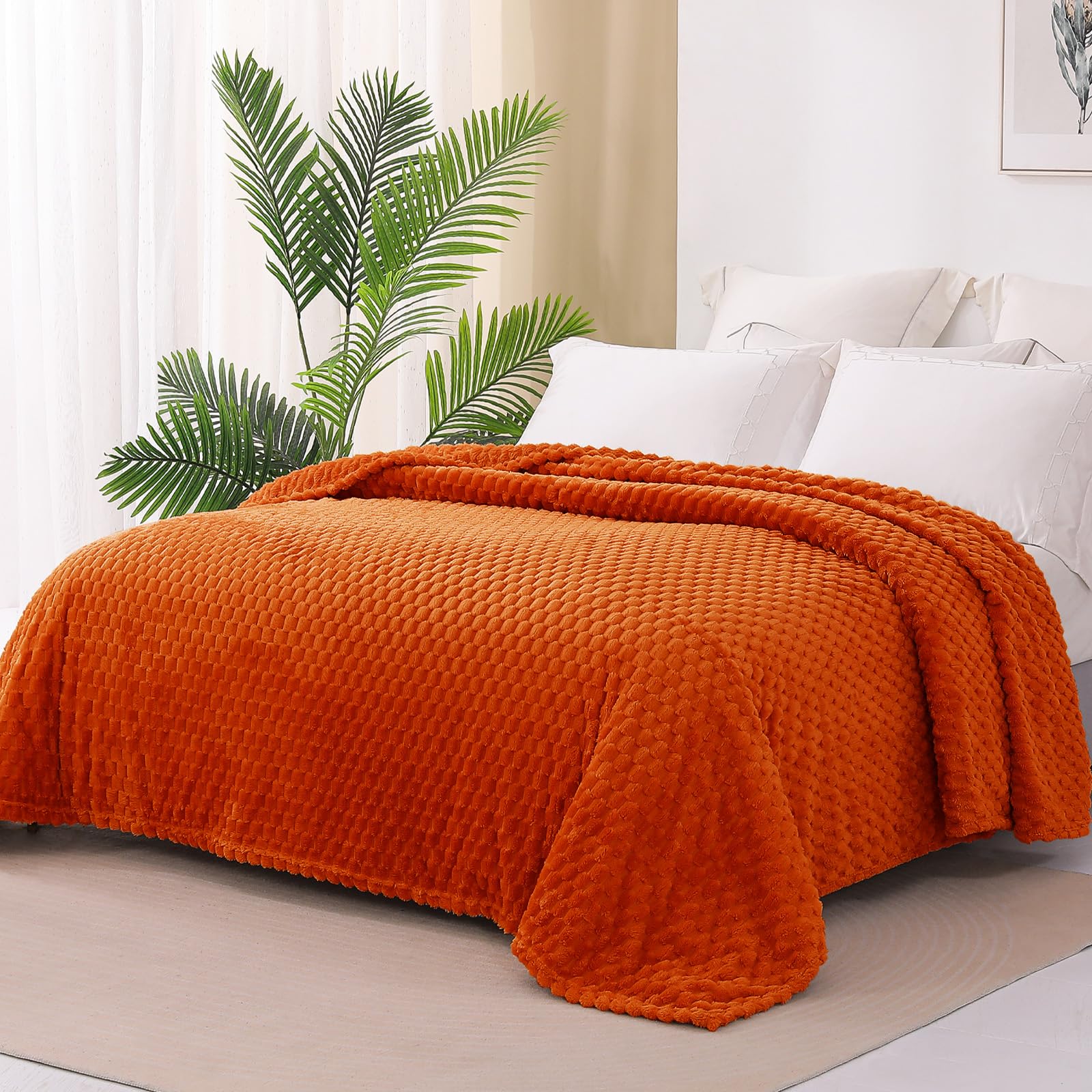 Exclusivo Mezcla Twin Size Soft Fleece Blanket, 60X80 Inches 3D Clouds Stylish Jacquard Velvet Blanket For Bed, Cozy Soft Lightw