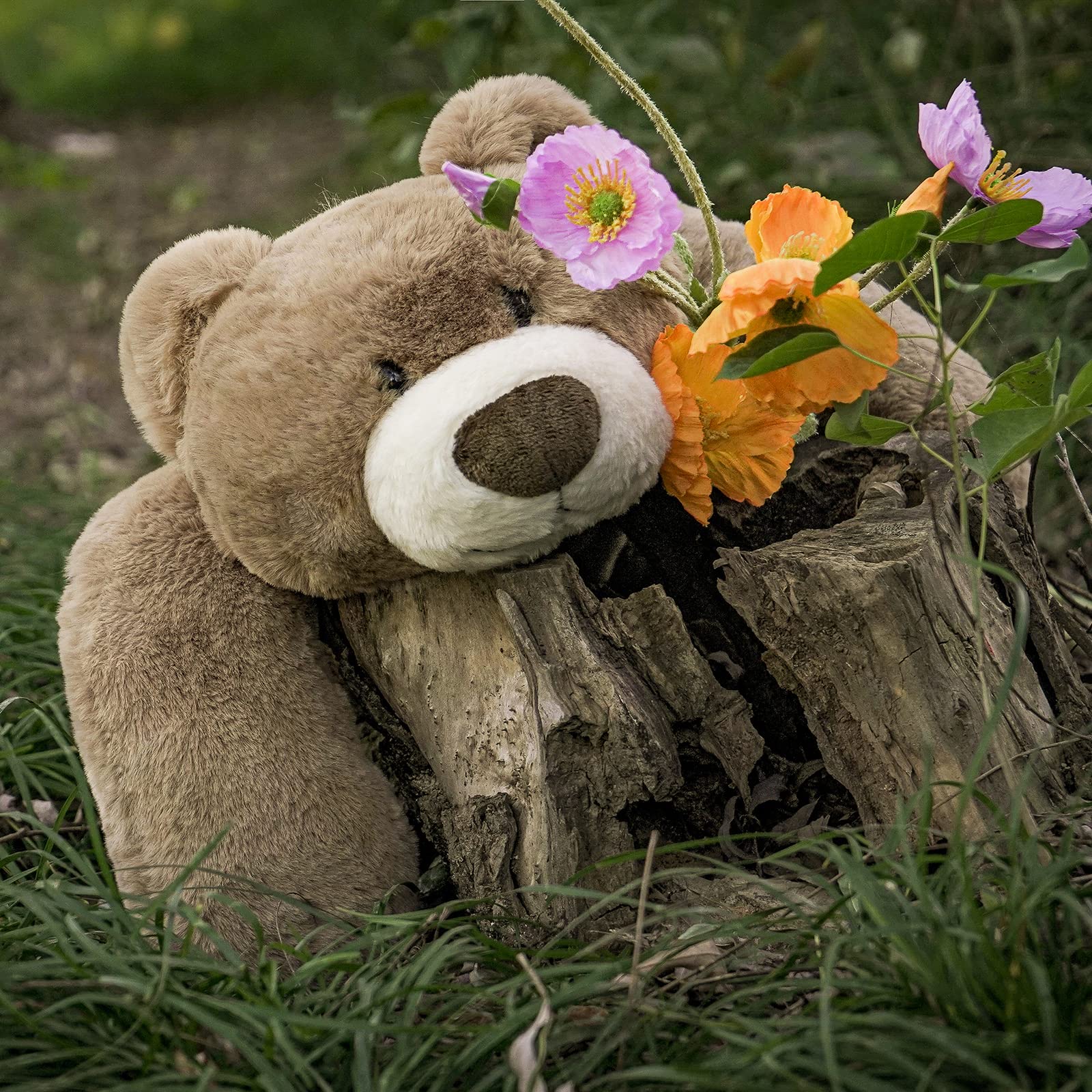 Niuniu Daddy 20' | 3.3 Pound Red Panda Weighted Stuffed Animals Plush Toy, Small Pillowfort Weighted Plush Animals For Kids Adu