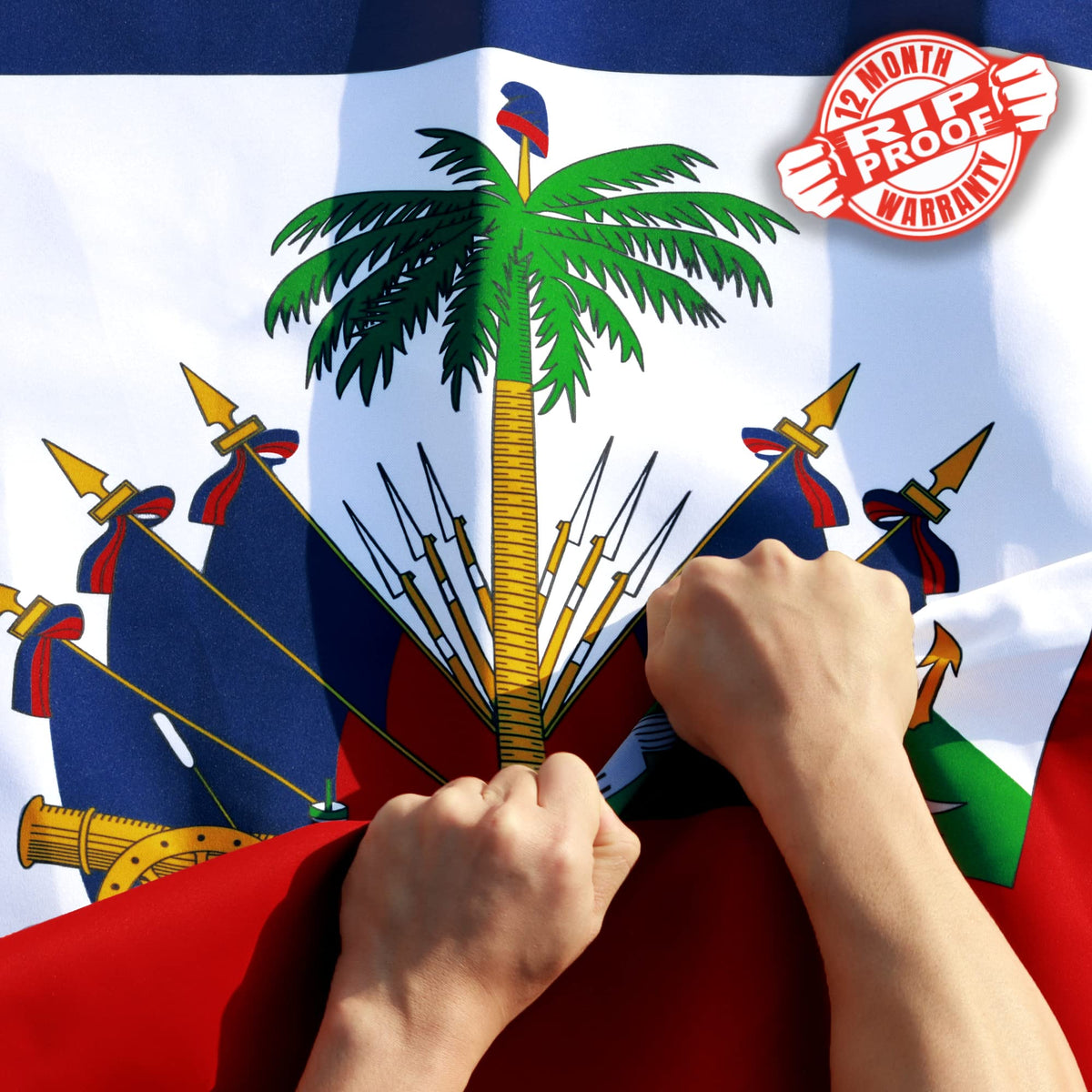 Anley Rip-Proof Technology Double Sided 3-Ply Haiti Flag 3X5 Foot - Vivid Color, Canvas Header And Wrinkle Resistant - The Stron