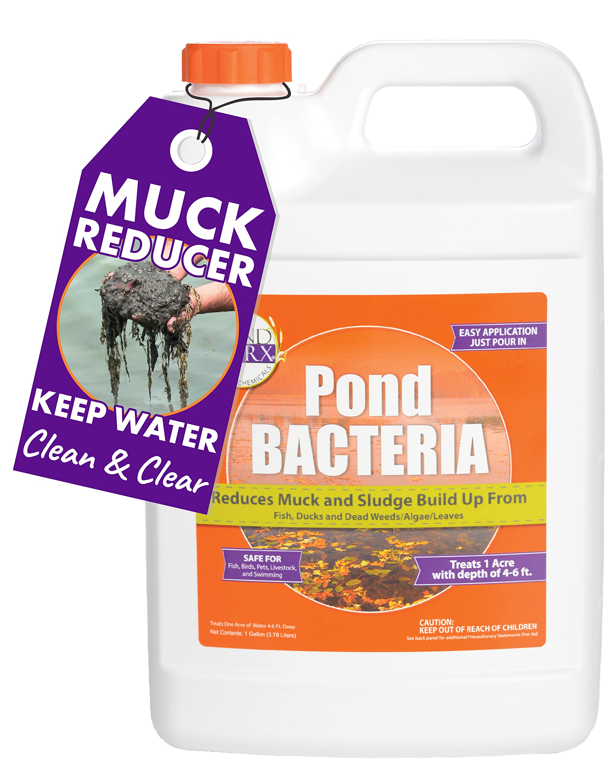 Pondworx Pond Bacteria - Formulated For Large Ponds, Water Features And Safe For Koi - Gallon