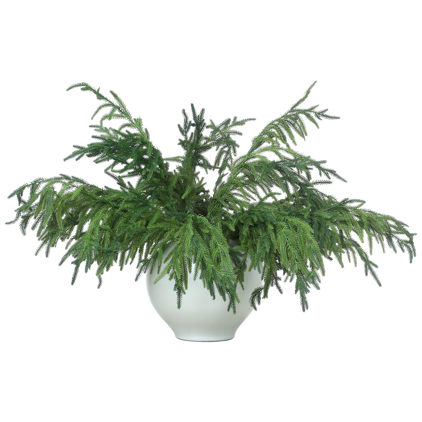 Jutom 30 Pcs Christmas Norfolk Pine Branches, Norfolk Pine Artificial Christmas Branches DIY Crafts Faux Christmas Norfolk Pine 