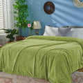 Inhand Sage Green Fleece Queen Blanket For Bed, Super Soft Flannel Cozy Blankets For Adults, Lightweight Leaves Pattern Fuzzy Bl