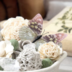 Andaluca Maison Box Fragrance Potpourri Decorative Vase & Bowl Filler Home D  Cor (Paperwhite & Aloe)
