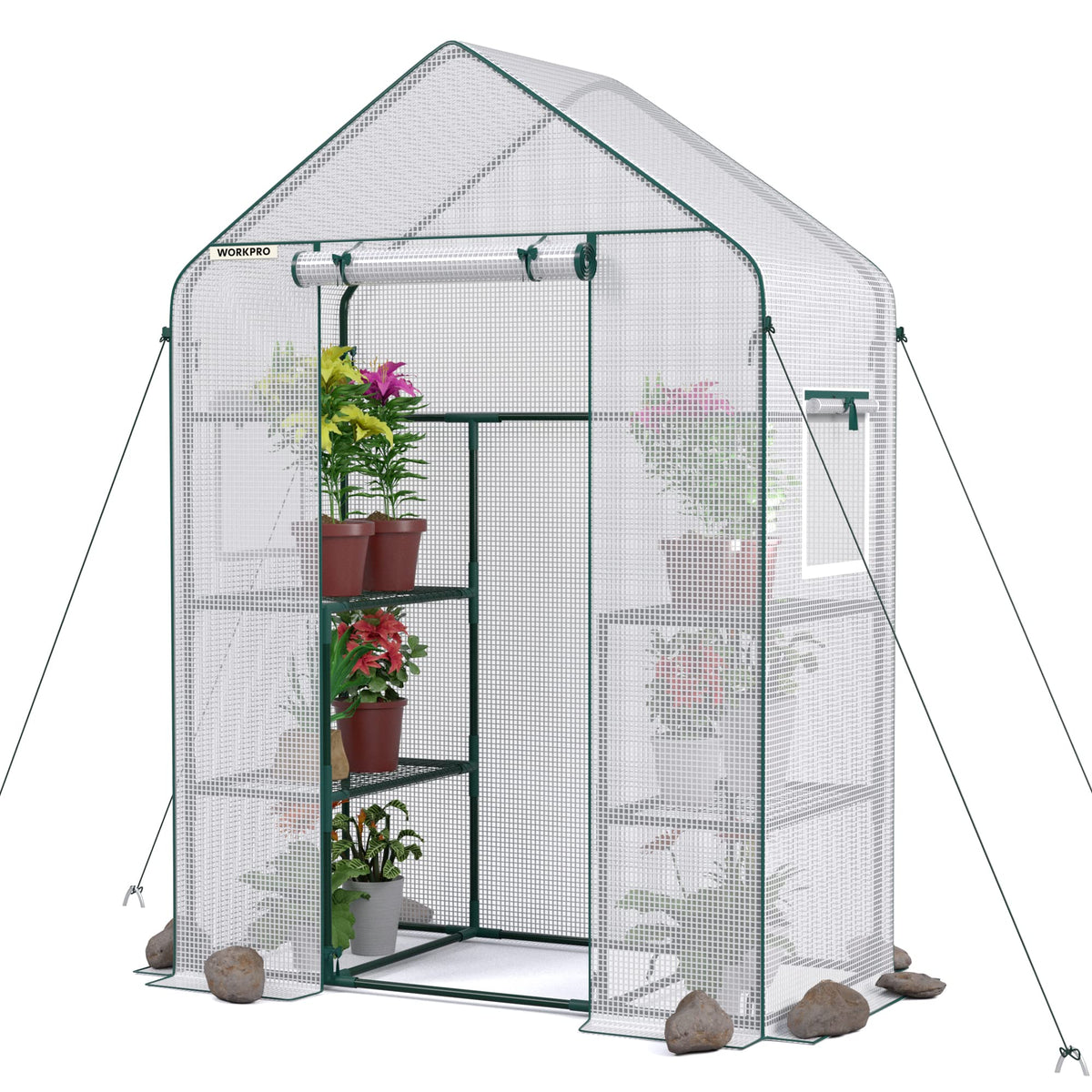 Workpro Greenhouse, 56'X 28' X 77' Portable Small Greenhouses For Outdoors & Indoors, Sturdy Green House Kit With Thicken Pe