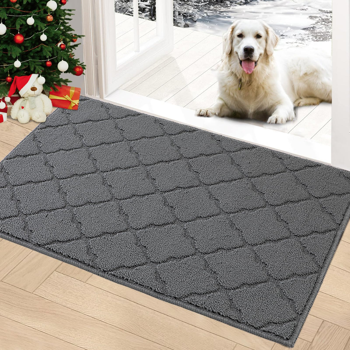 Timo Indoor Door Mat, Front Door Rug 24'X36' Rubber Backing Non Slip Absorbent Door Mats, Resist Dirt Entrance Doormat Inside