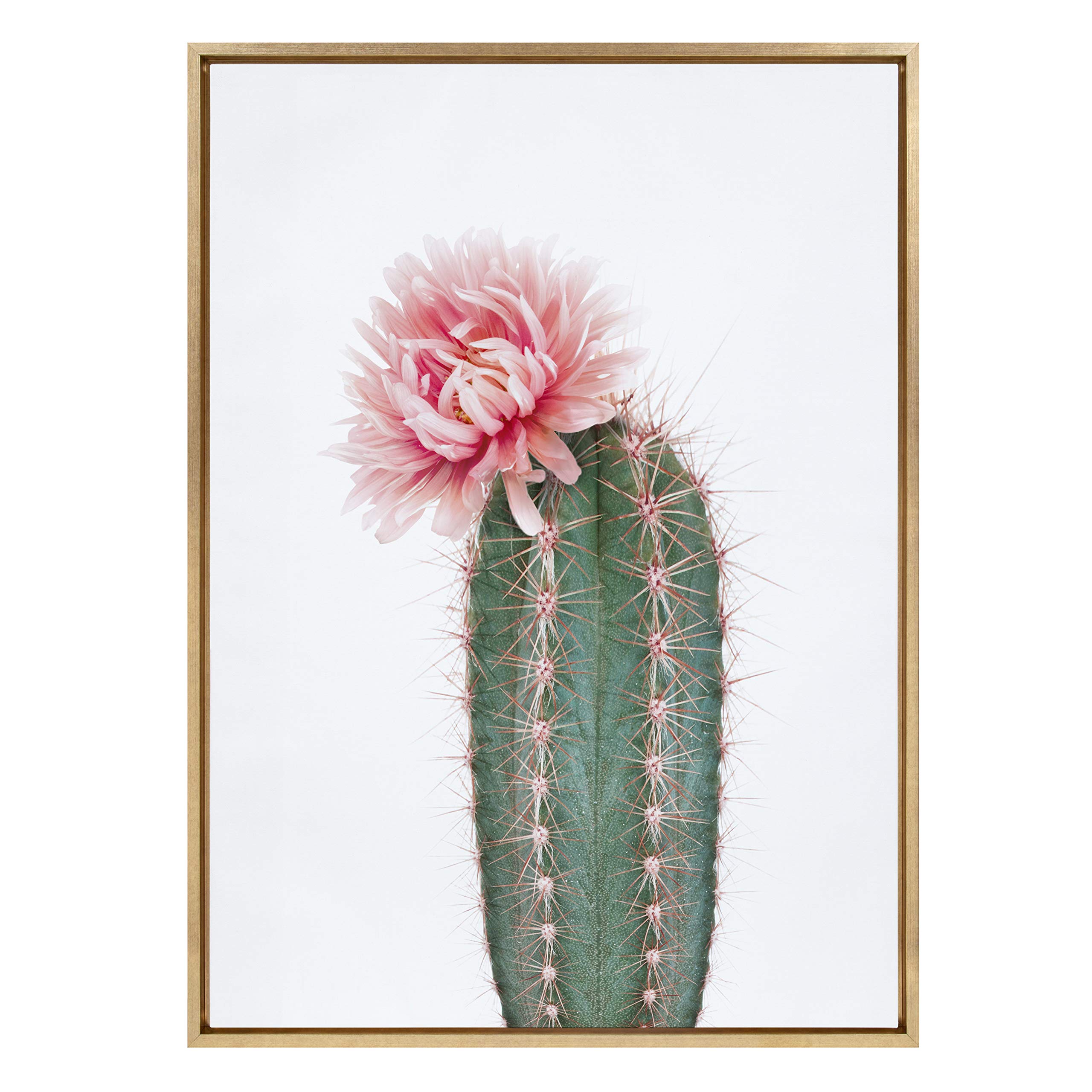 Kate and Laurel Sylvie Pink Cactus Flower Framed Canvas Wall Art by Amy Peterson, 28x38 Gold