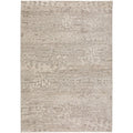 Denizi Dz6 Gray Transitional Rug Rectangle 5' 3" X 7 ' 8"
