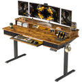 WALKINGDESK 55x24 Inches Electric Standing Desk with Keyboard Tray, Height Adjustable Stand up Desk with 2 Drawers, Ergonomic Si