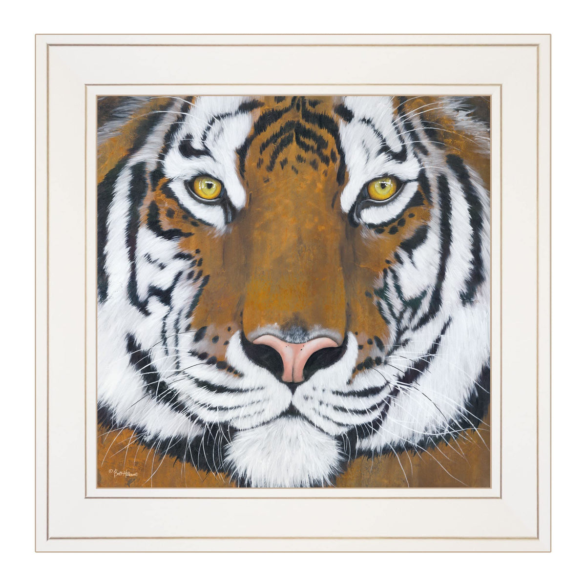 Tiger Gaze 1 White Framed Print Wall Art