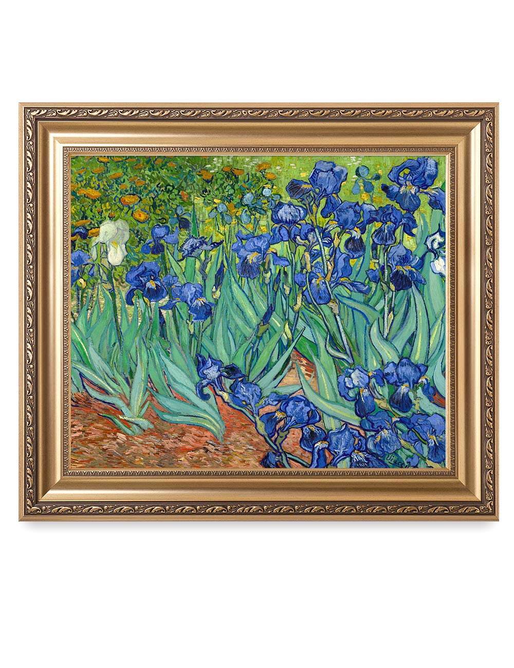 DECORARTS - Irises in the Garden - Vincent Van Gogh. Giclee Print on Canvas with matching Golden-relief Framed Wall Art. Picture