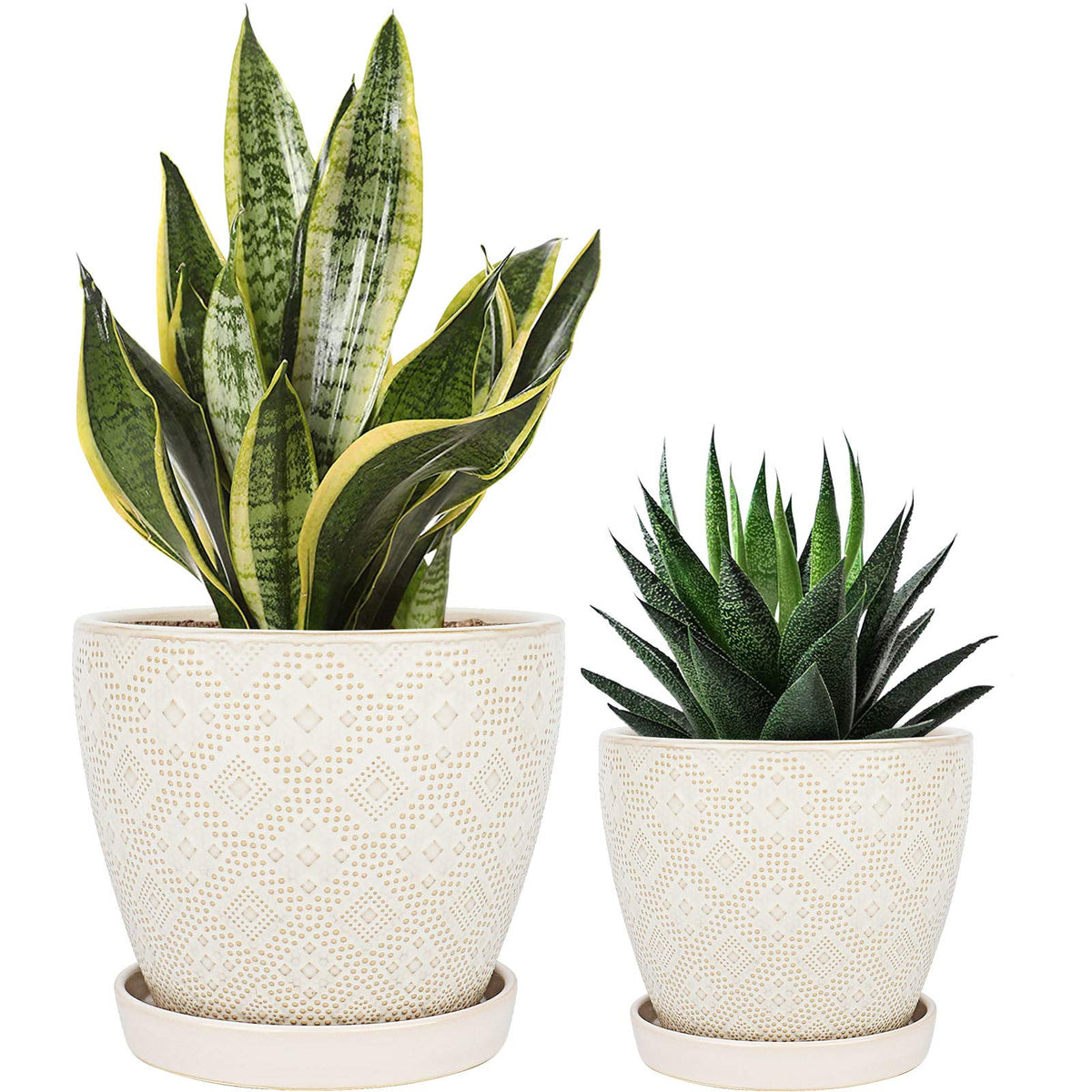 Docrin Ceramic Plant Pots Indoor: 6.6 + 5.5 Inch Planters With Drainage Holes And Saucer For Home/Office - Set Of 2 /White