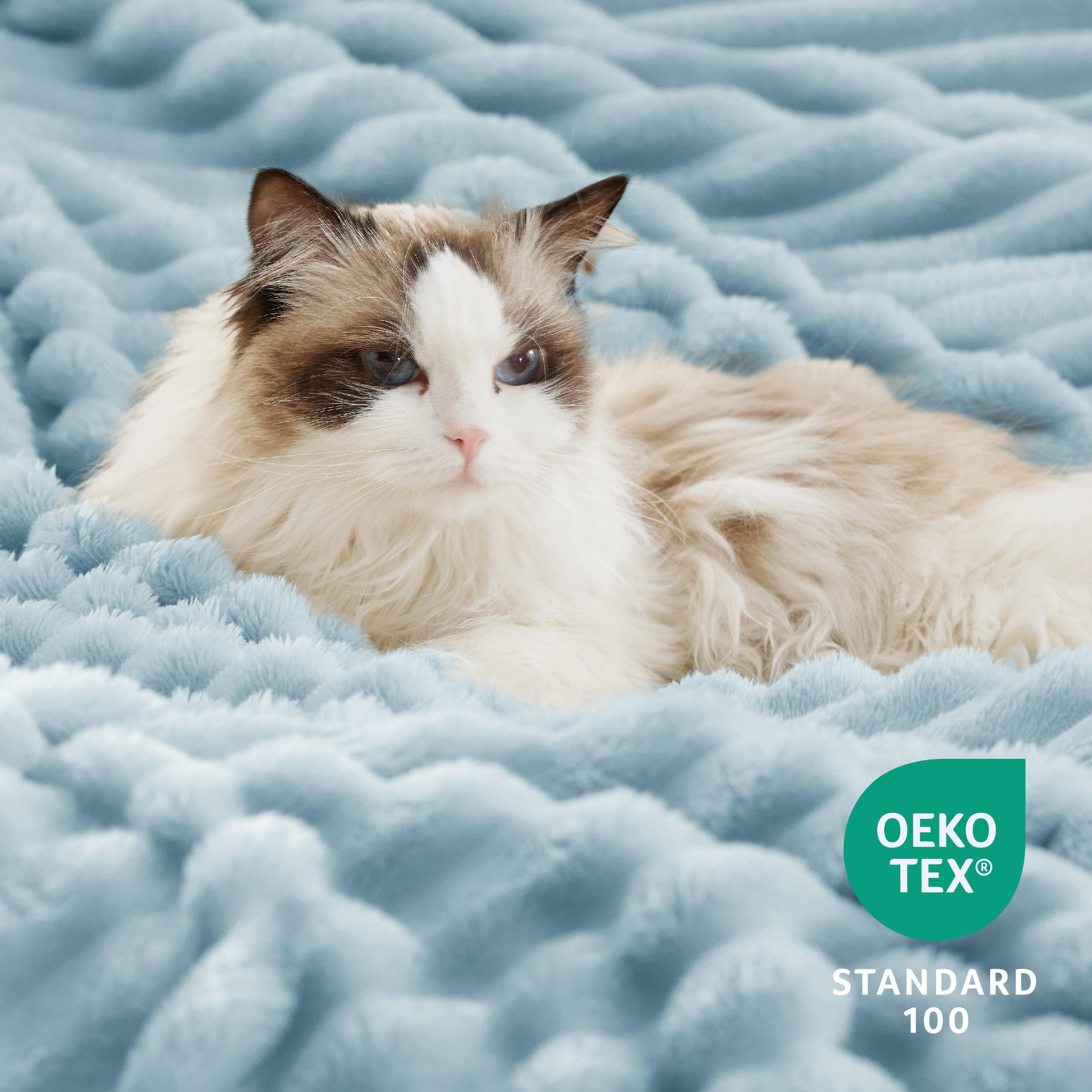 Bedsure King Size Sherpa Blanket - Super Soft Plush Fleece, Thick Warm Cozy Throw for Winter, Sky Blue, 108x90 Inches