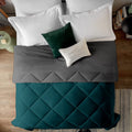 Edmund Microfiber Duvet 600 Gsm Heavy Winter Reversible Comforter For Single Bed Comforter (90 X 60) Inches Winter 600 Gsm C