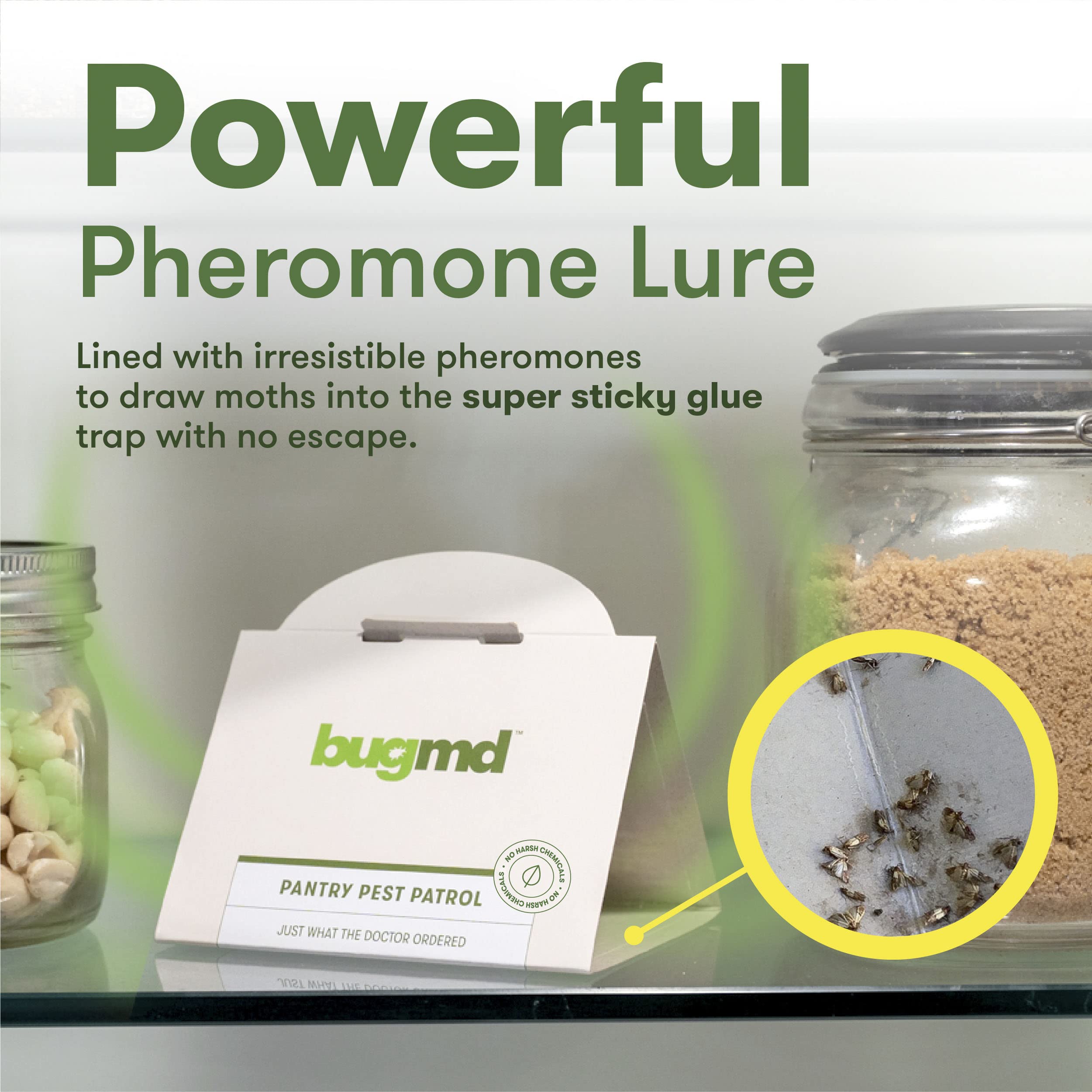 Bugmd Pantry Pest Patrol (18 Count) - Moth Traps For Kitchen, Pantry Moth Trap, Bug Trap, Moth Traps For House Pantry, Get Rid O