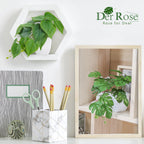 Der Rose 4 Pack Small Fake Plants Artificial Plants For Home Bedroom Aesthetic Living Room Bathroom Farmhouse Decor Indoor