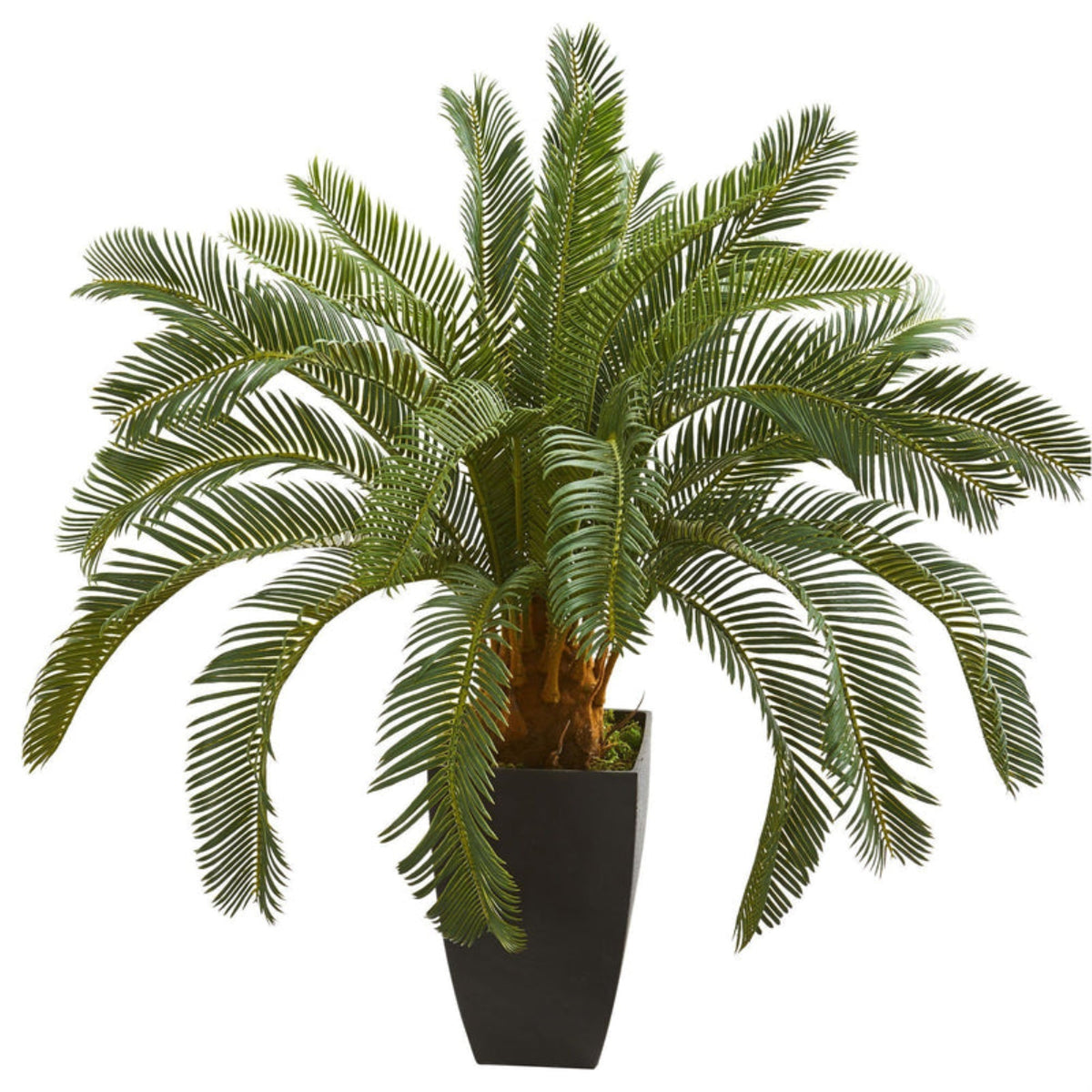 30 Cycas Artificial Plant
