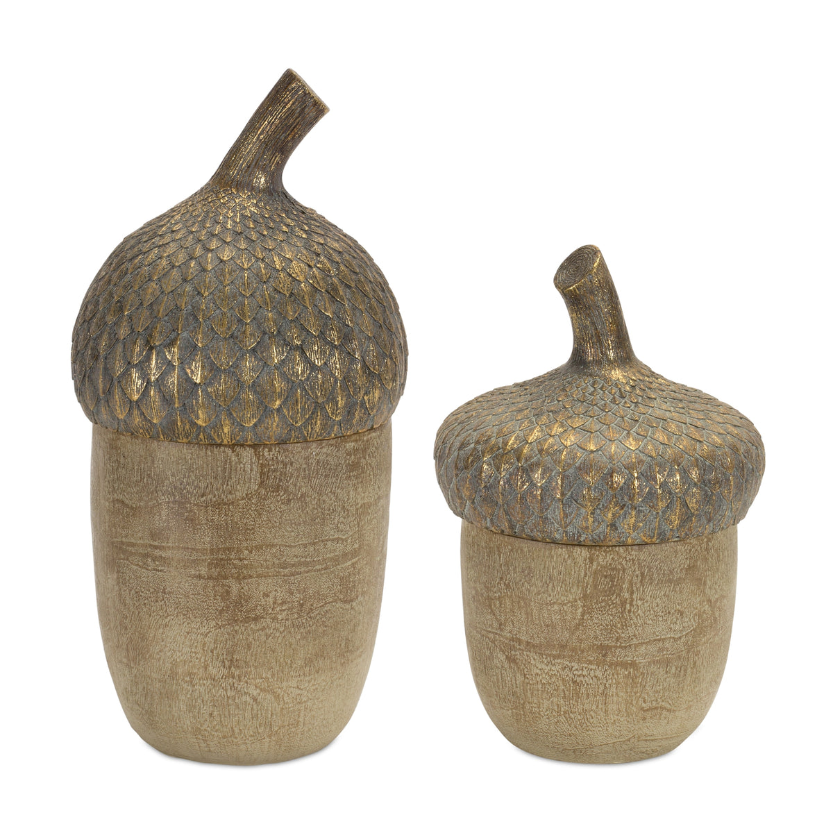 Acorn Box (Set of 2)