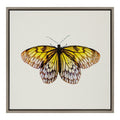 Sylvie Limon Framed Canvas by Robert Cadloff of Bomobob